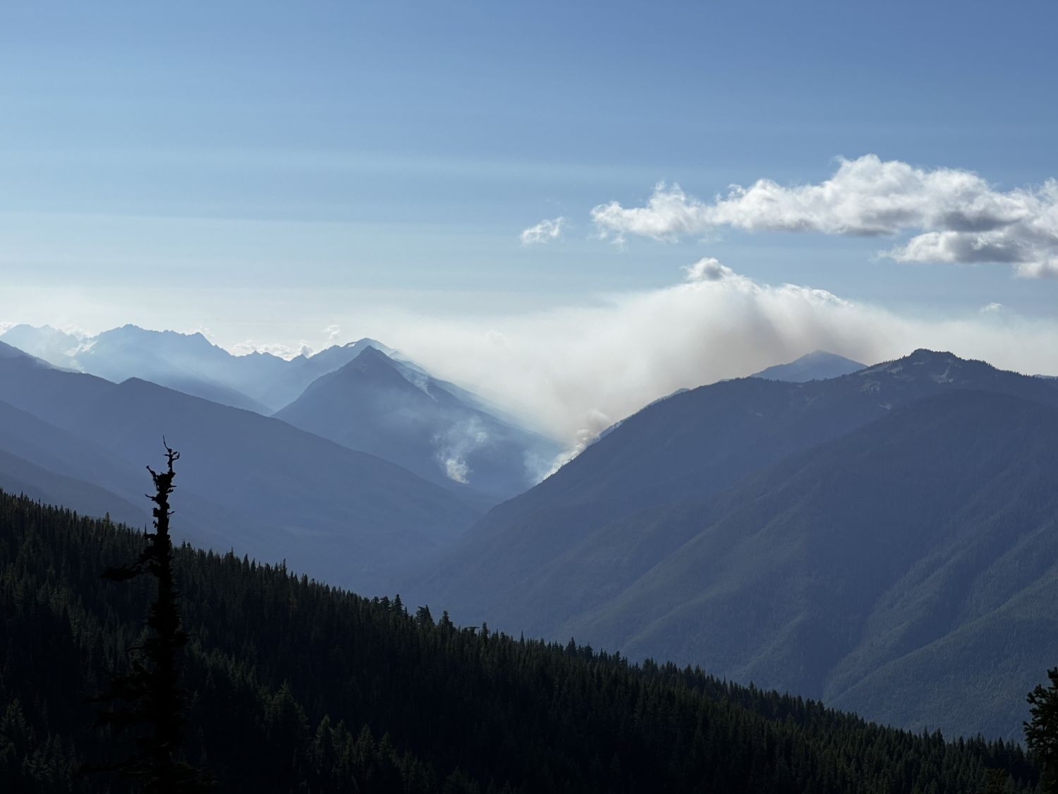 Olympic NP 